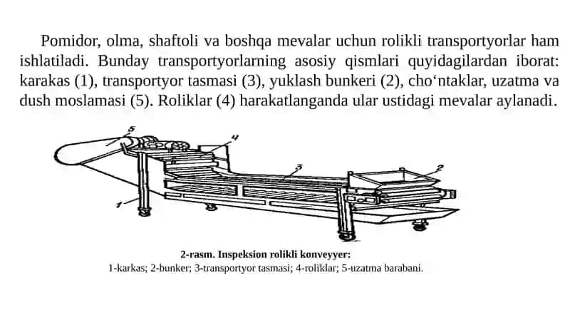 Meva va sabzavotlarni saralash qurilmalari 4