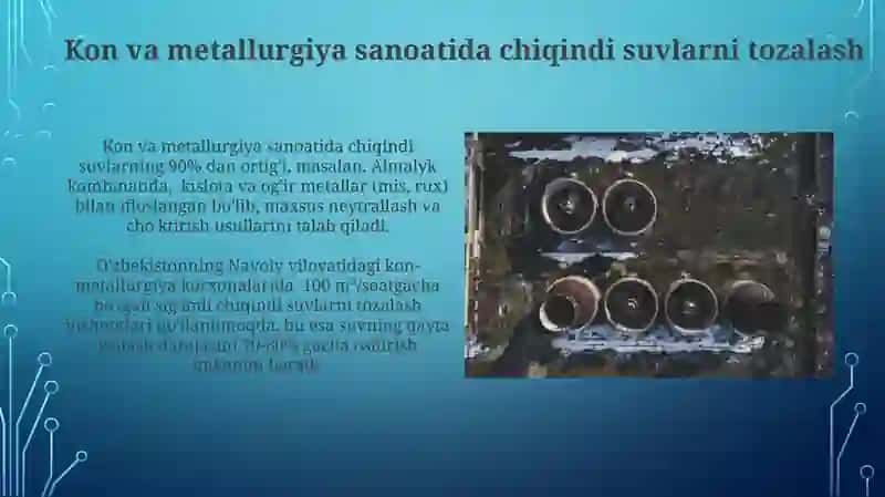 Atrof-muhit muhofazasi va uning ahamiyati 4