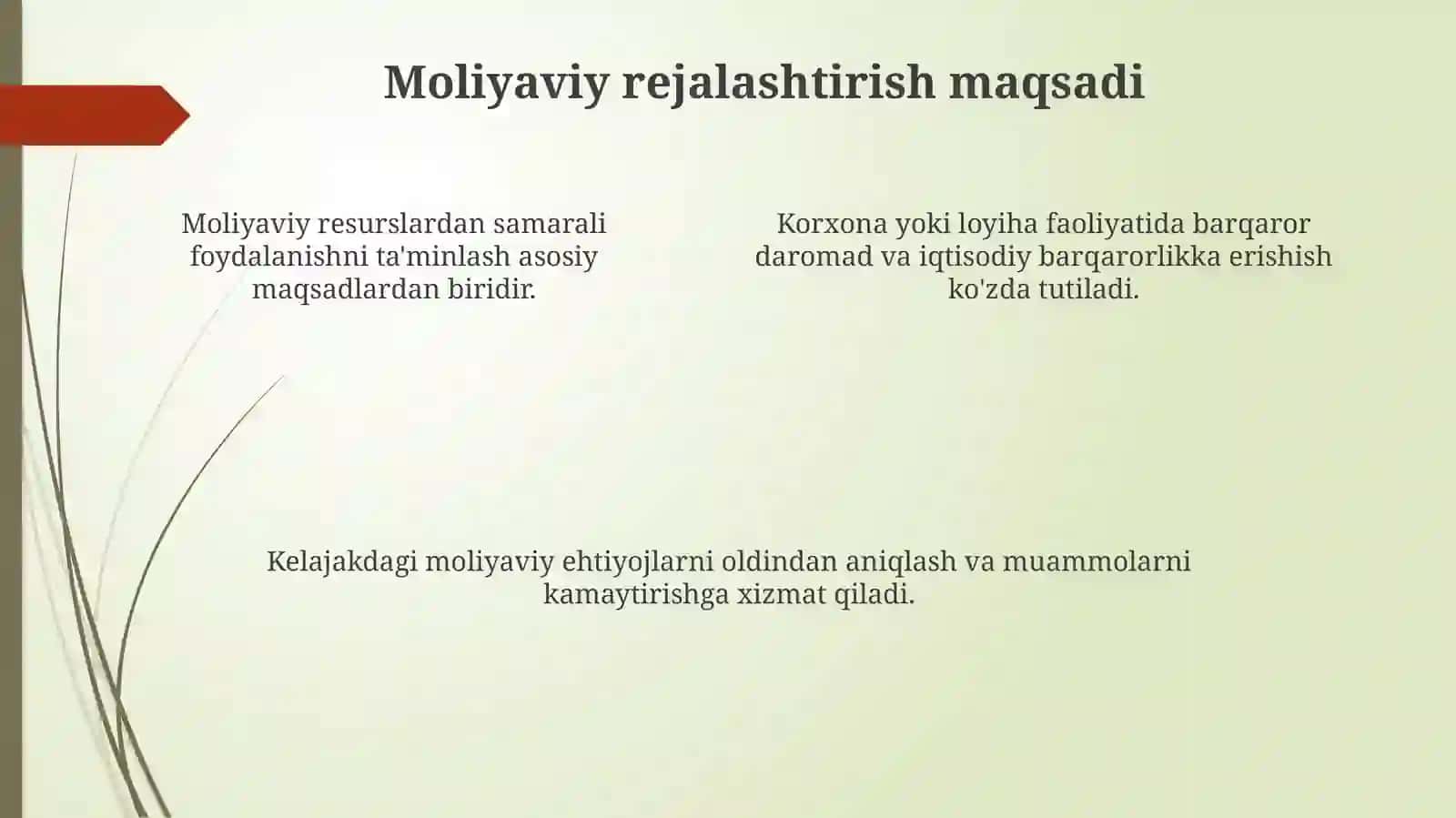 Moliyaviy rejalashtirish va loyiha 4