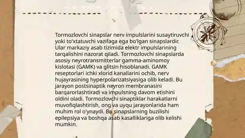 Markaziy nerv sistemasining tormuzlovchi sinapslari 4