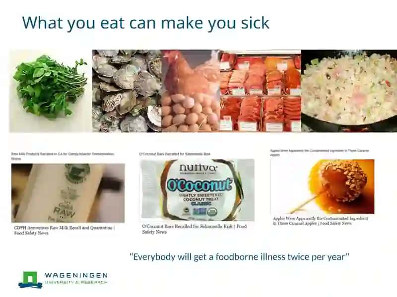 Microbial contaminants 4