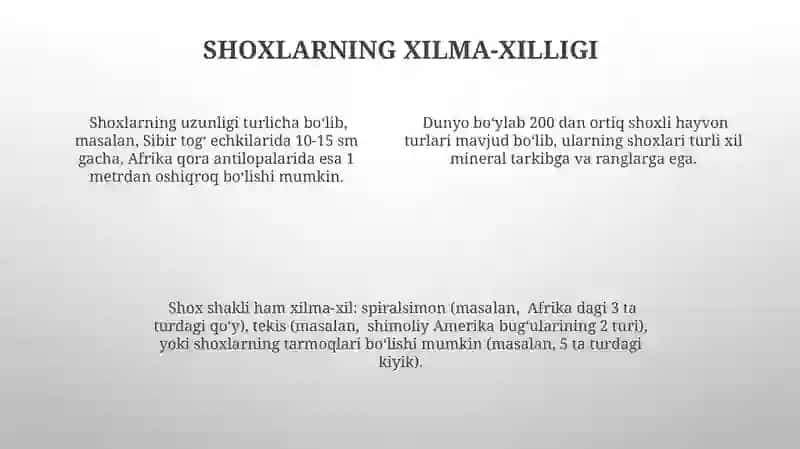 Òrmon ot zotlari 4
