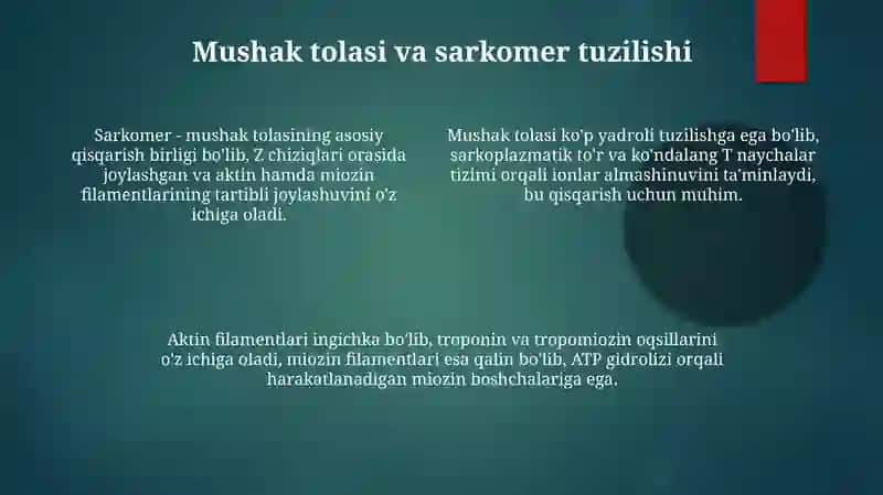 Mushak to‘qimasi 4
