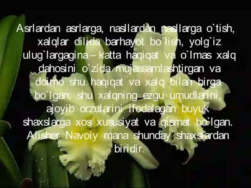 Alisher Navoiy – ruboiynavis 4