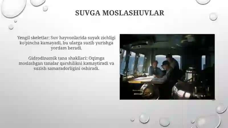Suv muhitida organizmlarni moslanishi 4