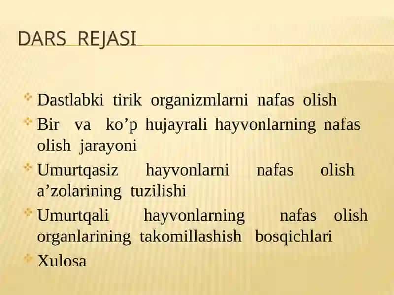 Hayvonlarning nafas olish organlari evolutsiyasi 4