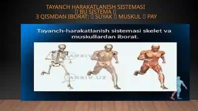 TAYANCH HARAKATLANISH SISTEMASI 4