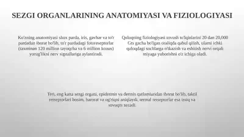 Sezgi organlari 4