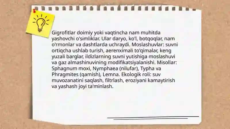 O'simliklarning ekologik guruhlari 4
