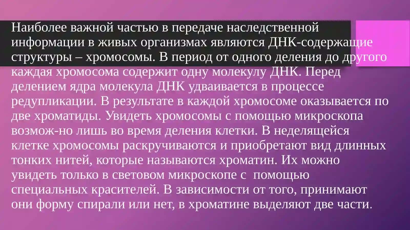 Жизненный цикл клетки 4