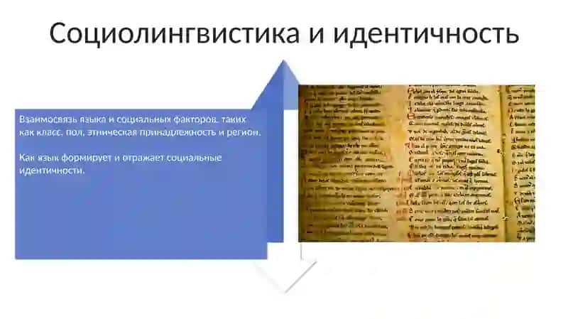 Язык и общество 4
