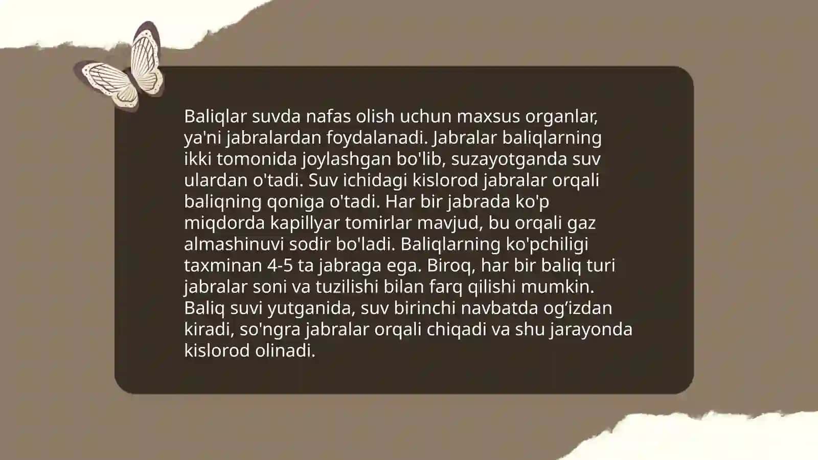Nafas olish a'zolari filogenezi 4