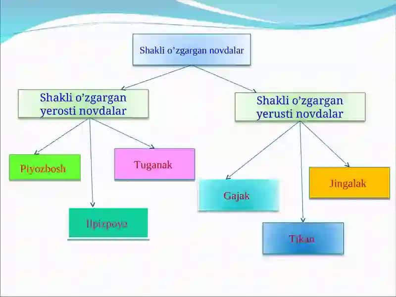 Shakli o’zgargan novdalar 4