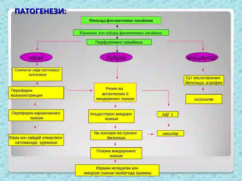 Кон айланиш етишмовчилигиэтиологияси 4