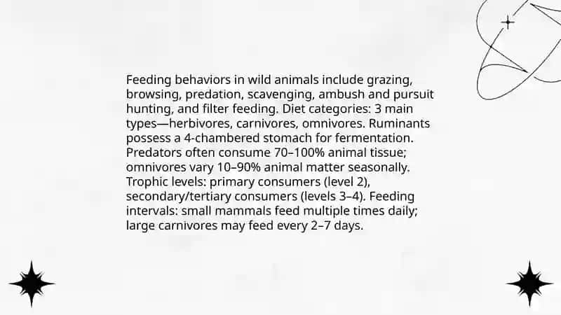 Wild animals 4