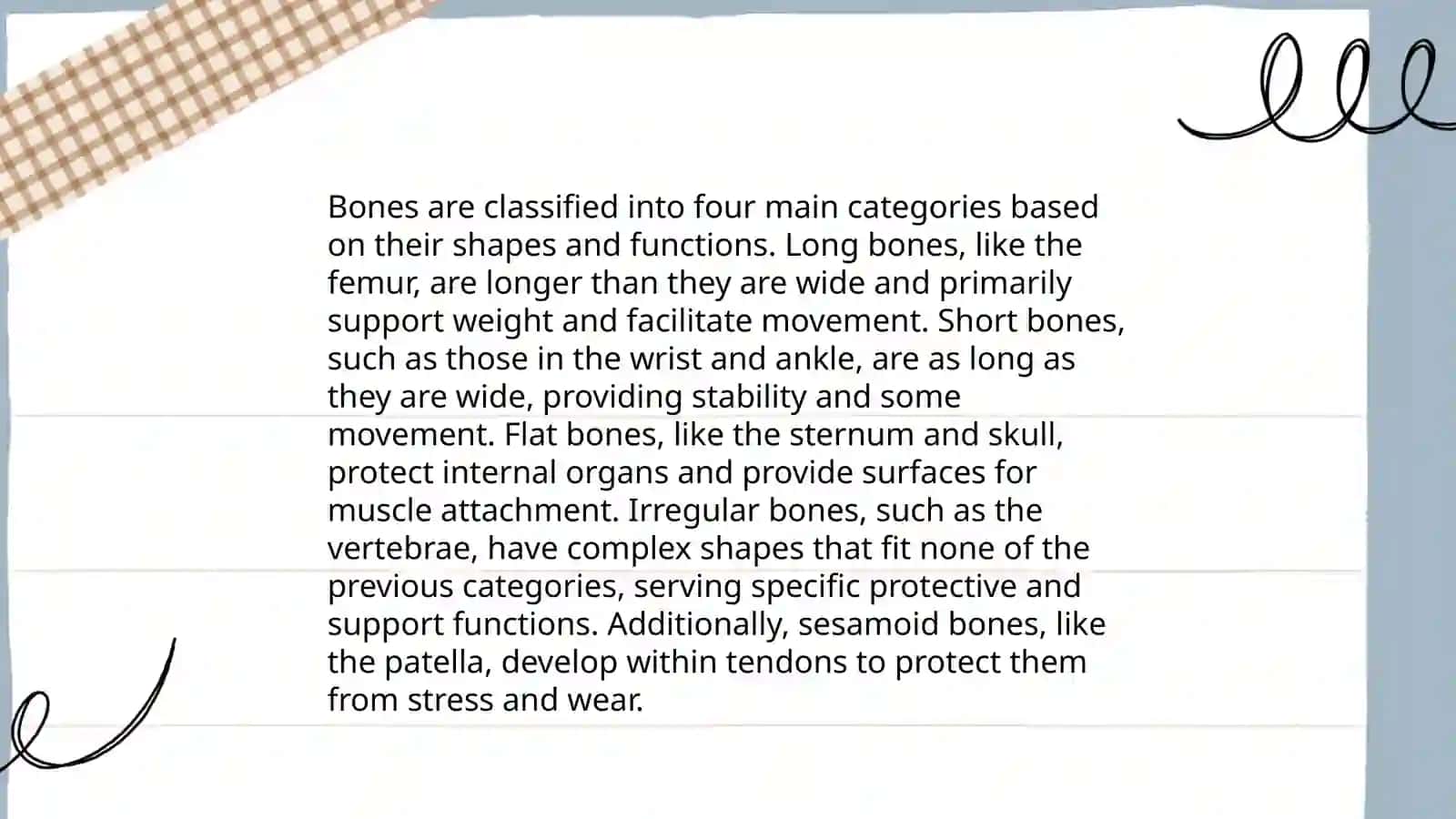 Skeleton Model 4