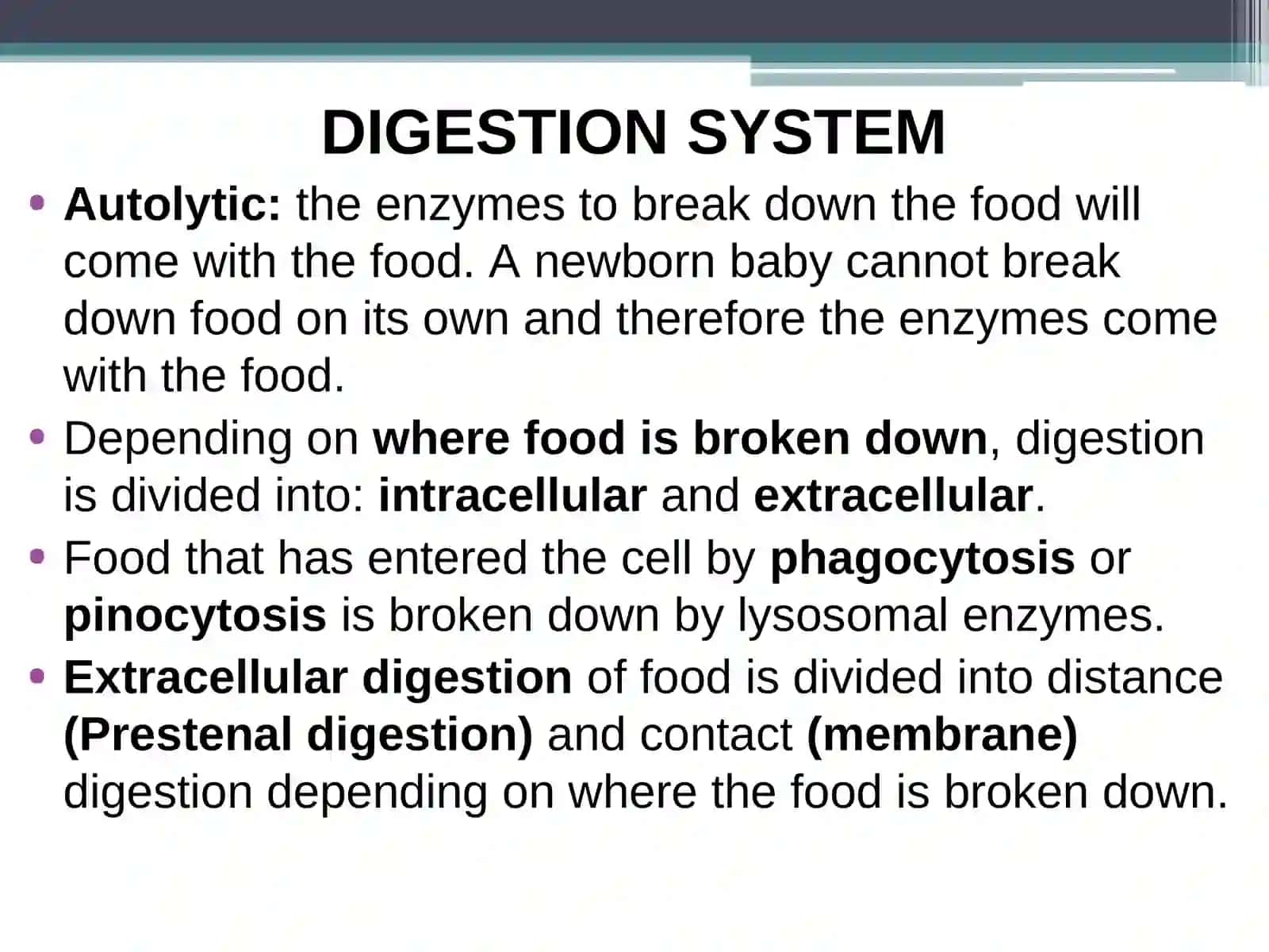 PHYSIOLOGY OF THE DIGESTION SYSTEM 4