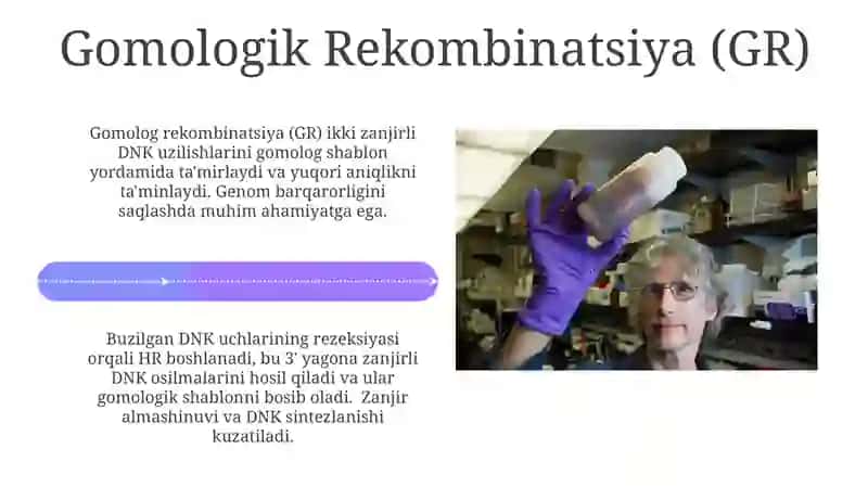 DNK reparatsiyasi 4