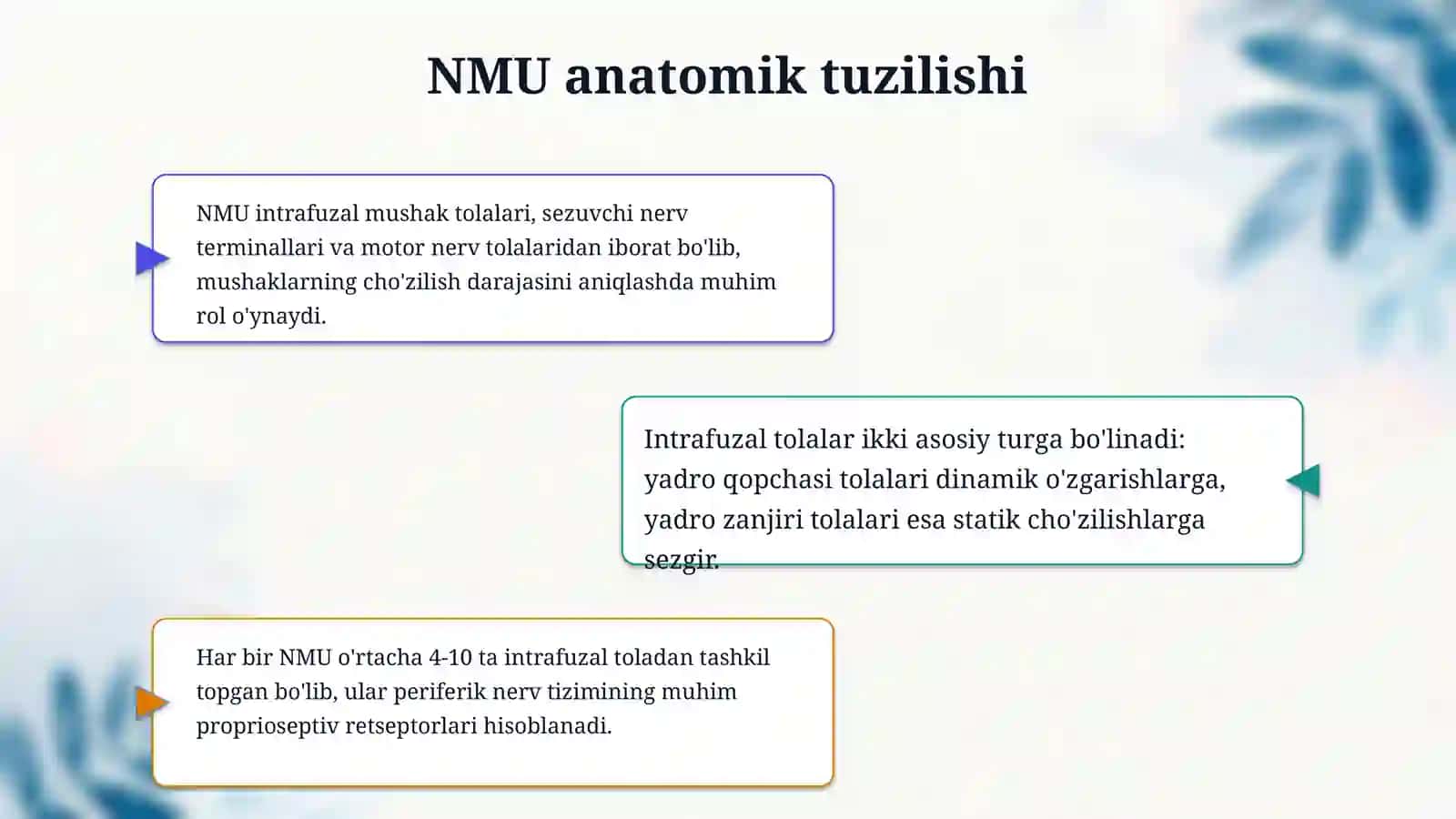 Nerv mushak urchuqlarining tuzilishi va ishlash prinsipi 4