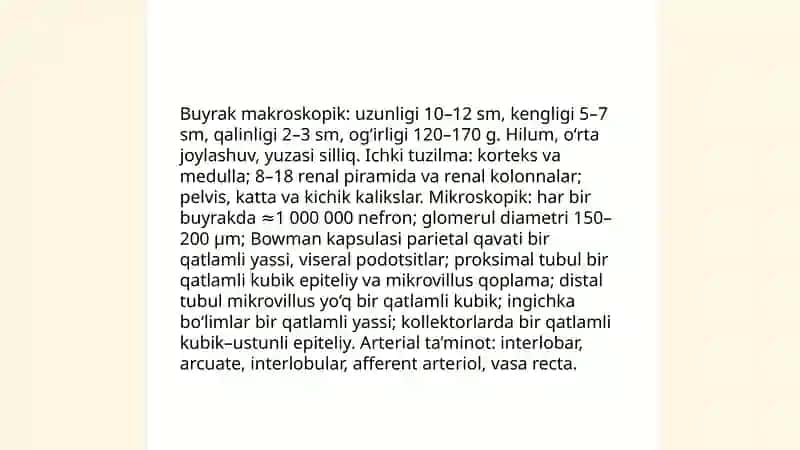 Siydik ajratuv tizimi.Buyrak 4