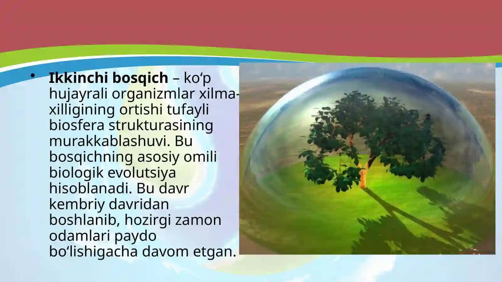 11-sinf Biologiya dars ishlanma. Biosfera evolutsiyasi. Biogenez 4