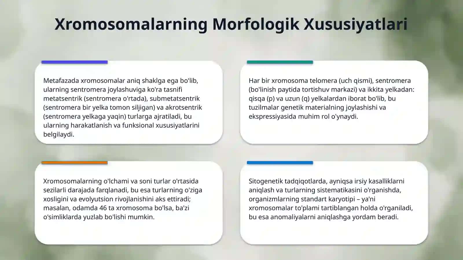 Xromosomalarning morfologiyasi va molekulyar tuzilishi 4