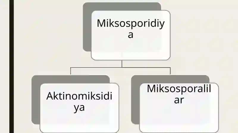 Parazitlarning kelib chiqish shajarasini tuzish 4