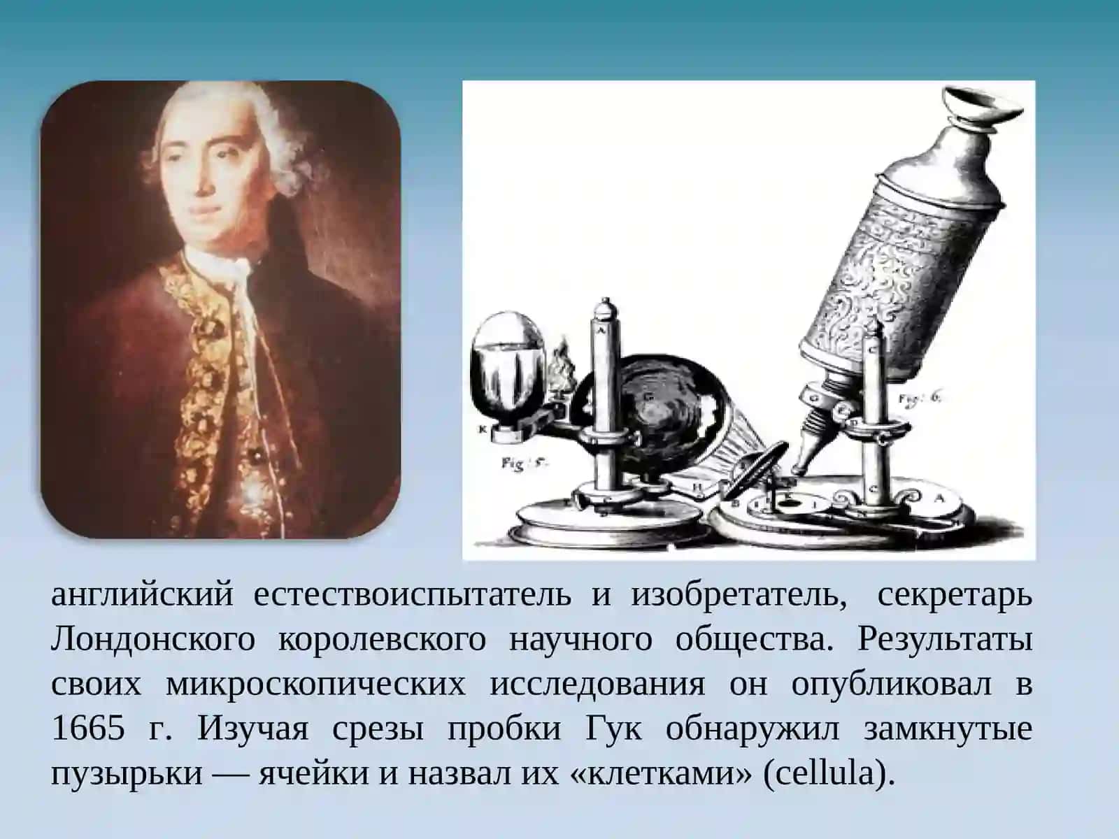 ЦИТОЛОГИЯ 4