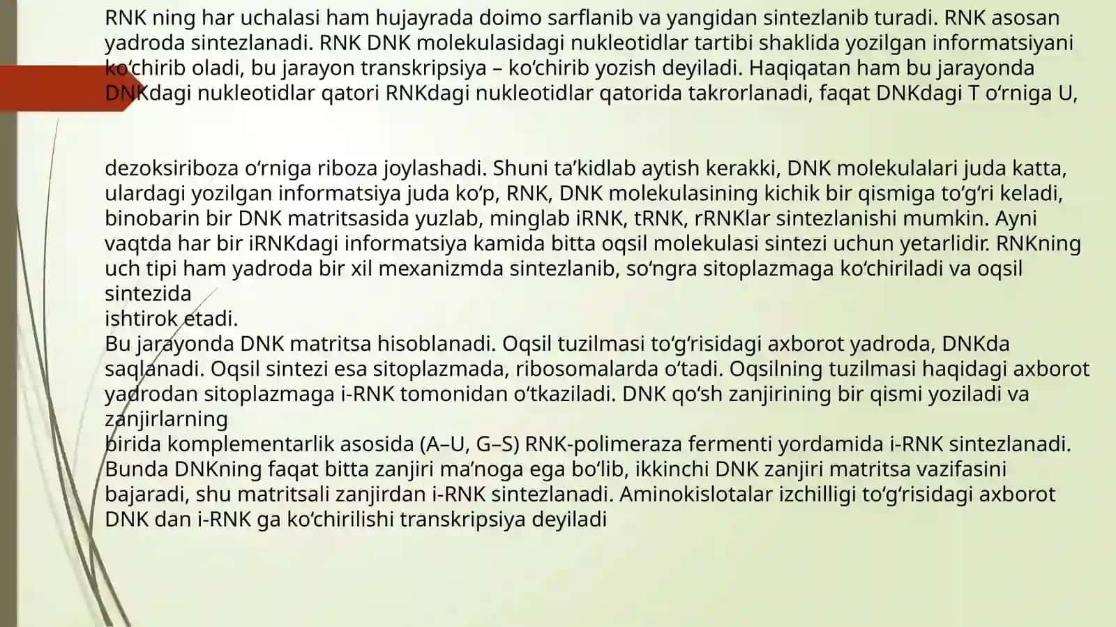 Ribonuklein kislotalar 4