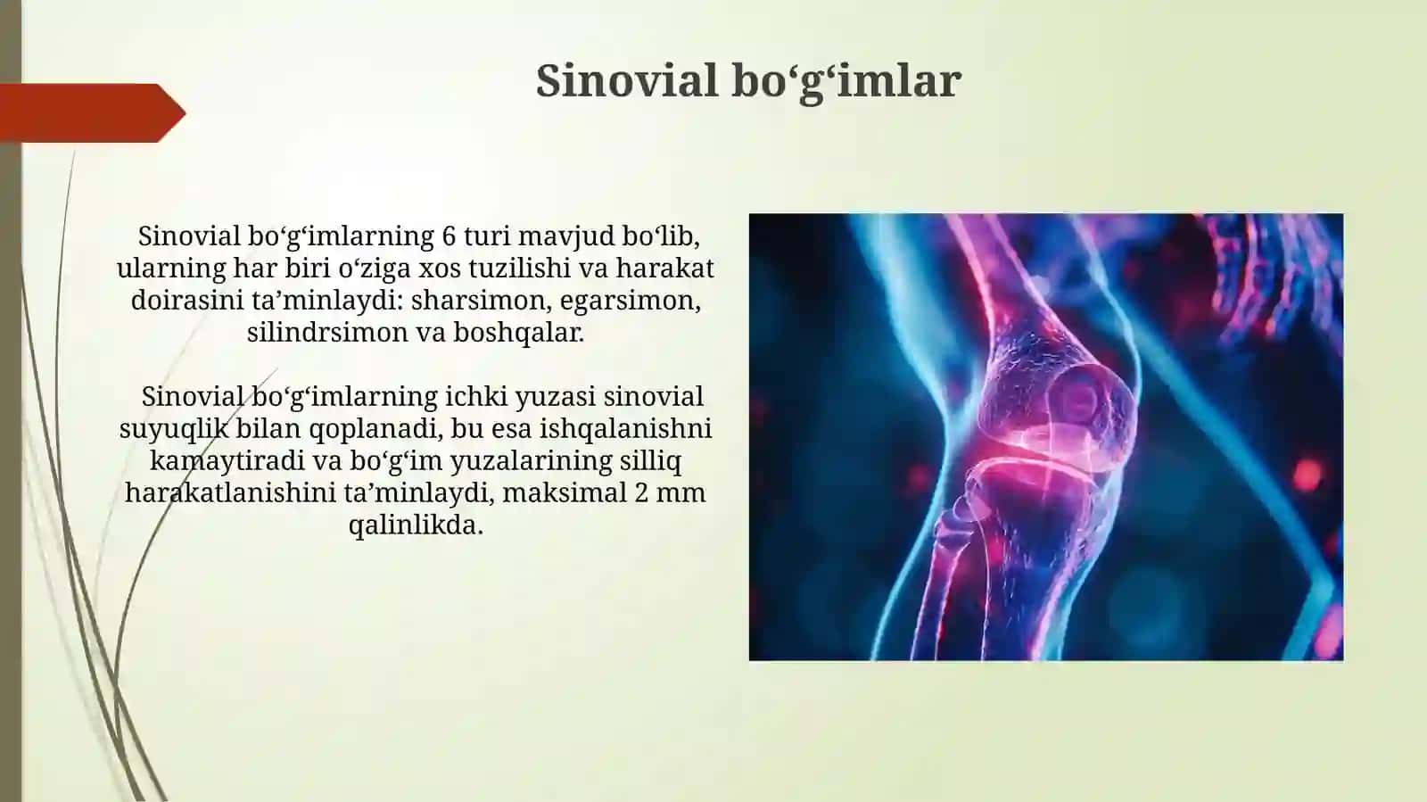 Koʻndalang-targʻil mushaklar 4