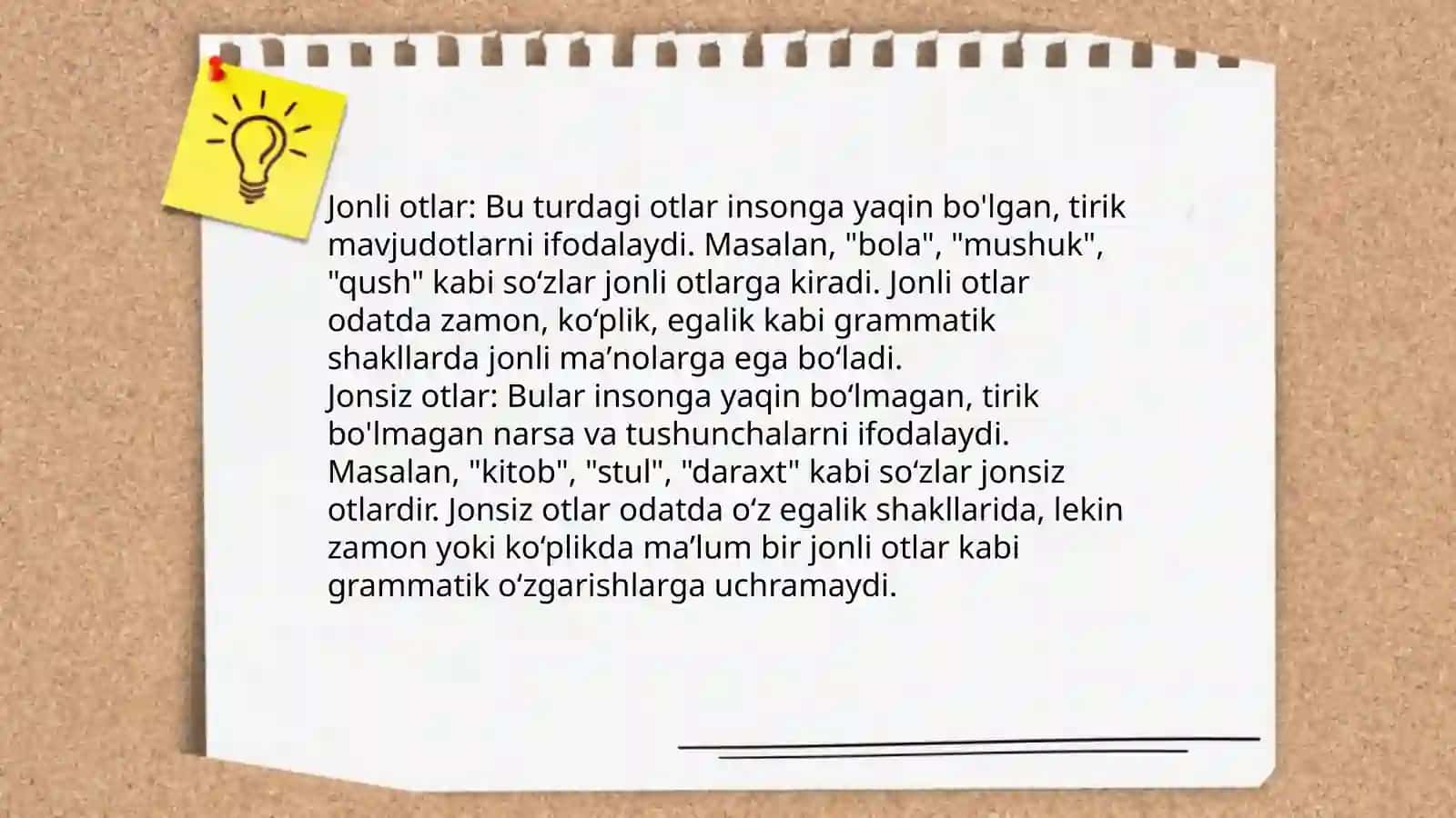Ot so’z turkimi va unga hos kategoriyalar 4