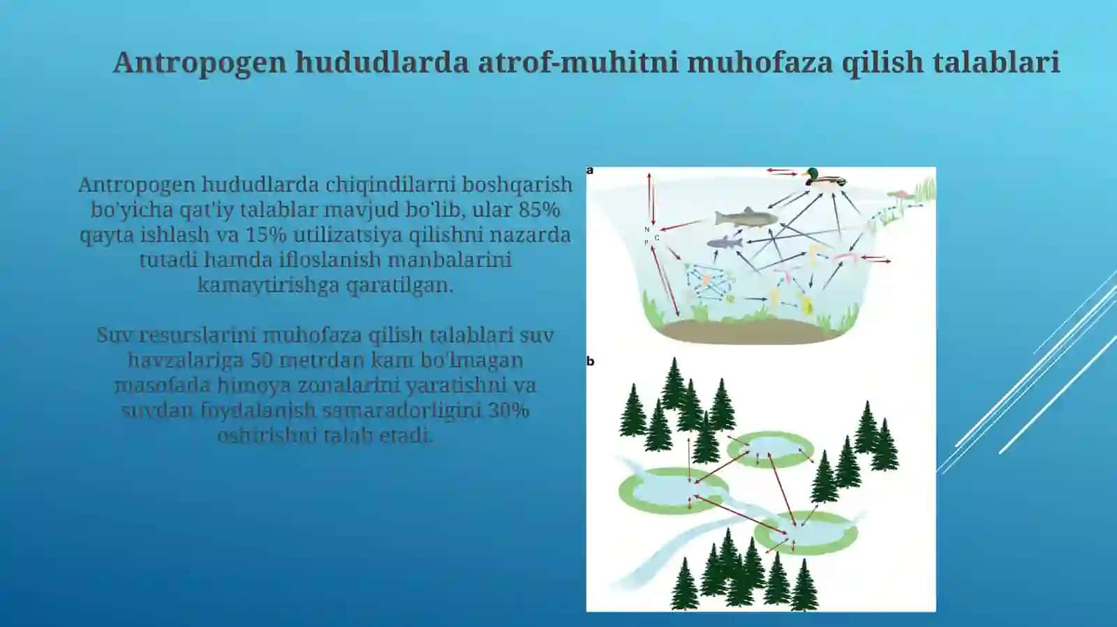 Antropogen hudud tushunchasi 4