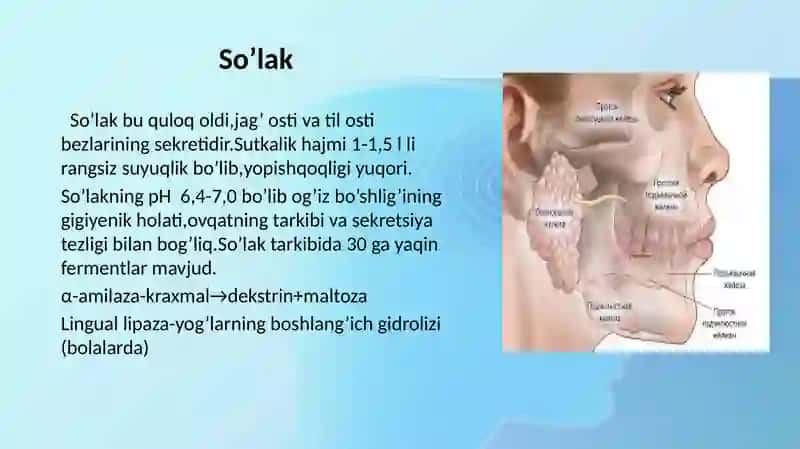 Oshqozon ichak mustaqil talim 4