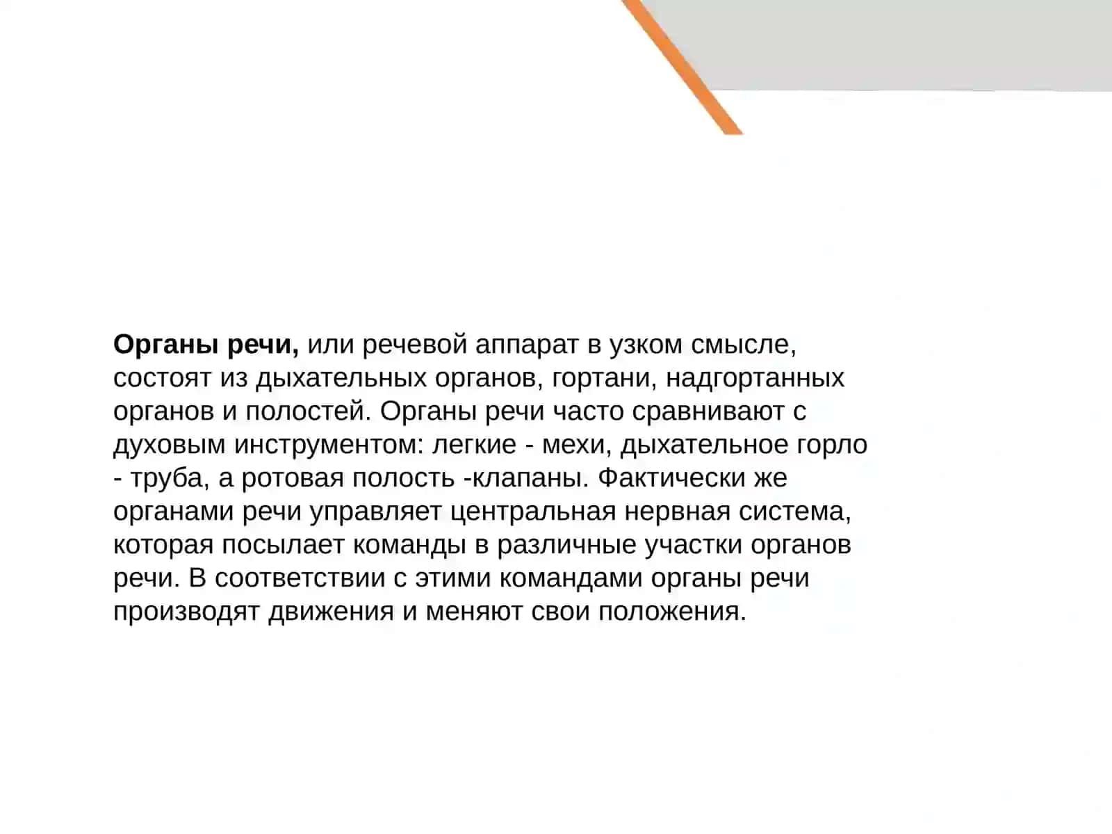устройство речевого аппарата 4