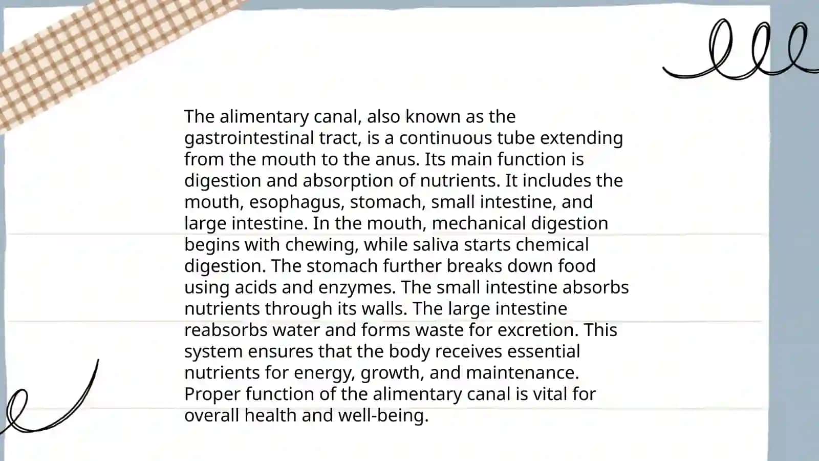 "The alimentary tract of human being" 4