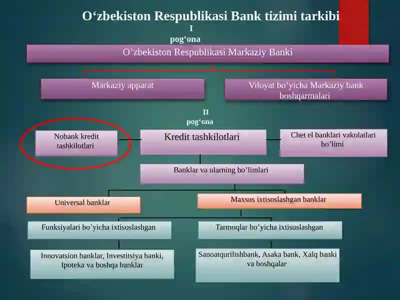Nobank kredit tashkilotlari va ularning turlari 4