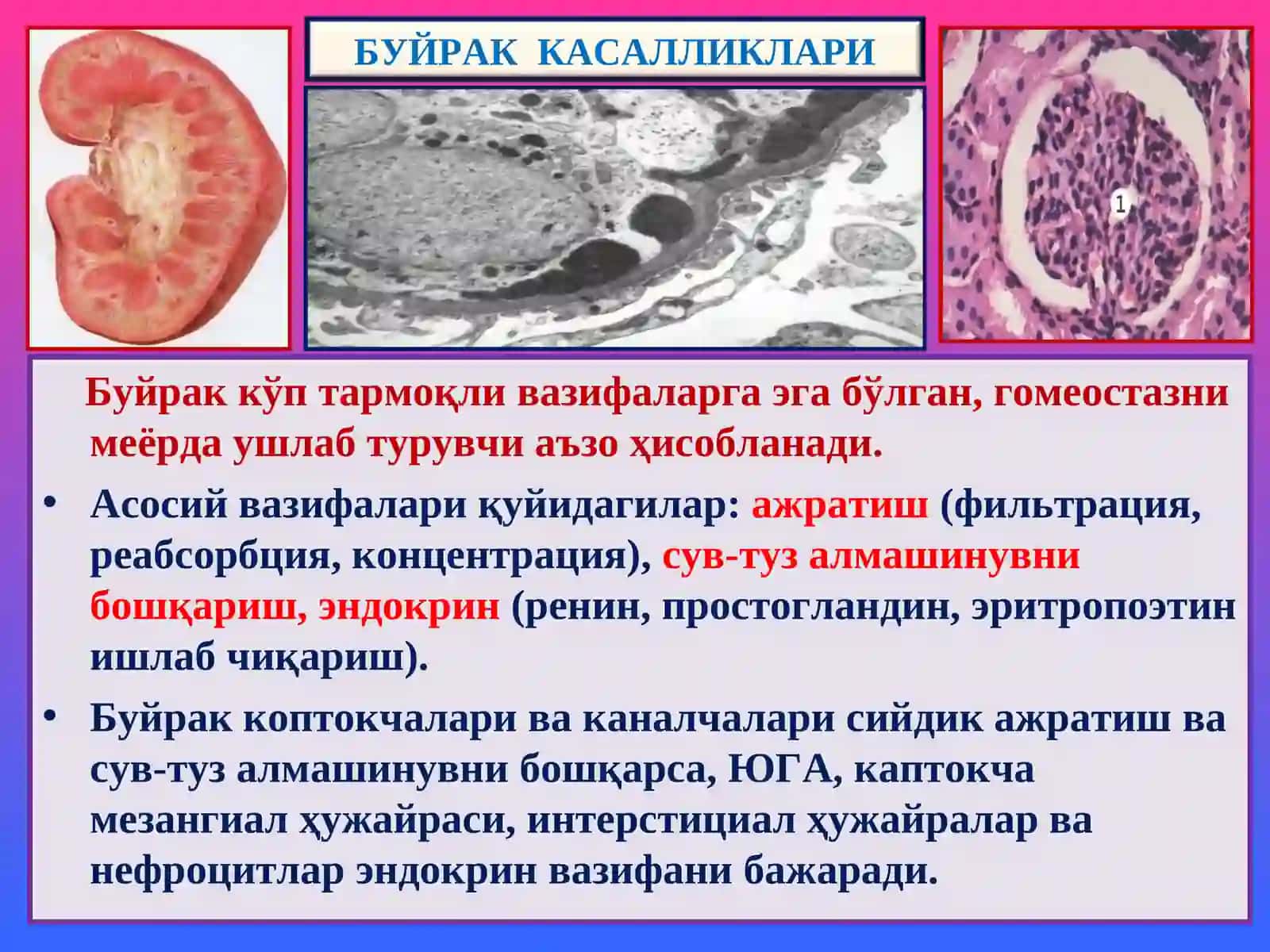 “Буйрак касалликлари” 4