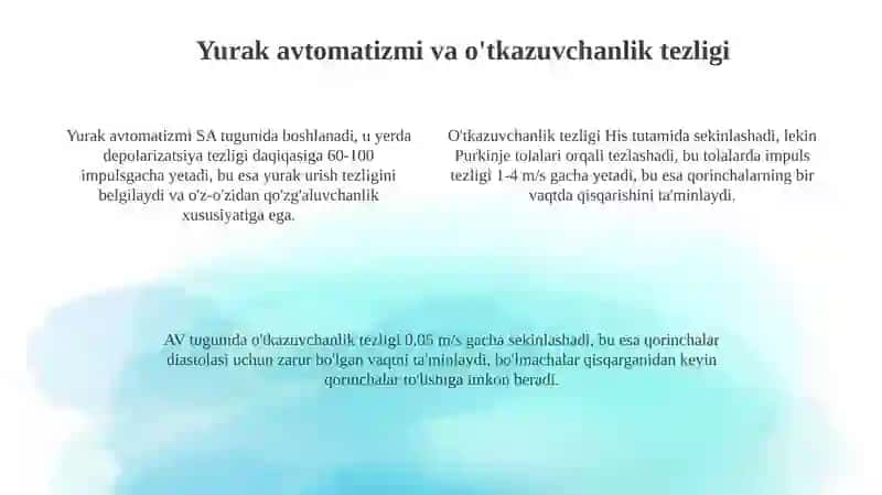 Yurakningo'tkazuvchiyo'llari 4