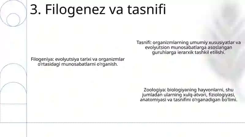Umurtqalilar Zoologiyasi 4