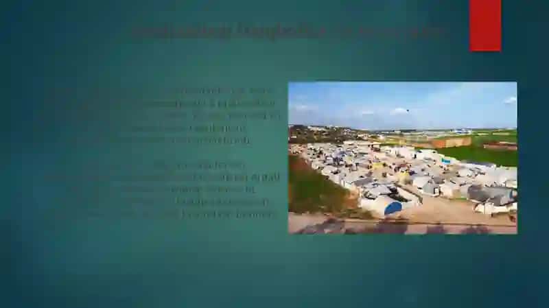 Migratsiya va qochoqlar muammosi 4