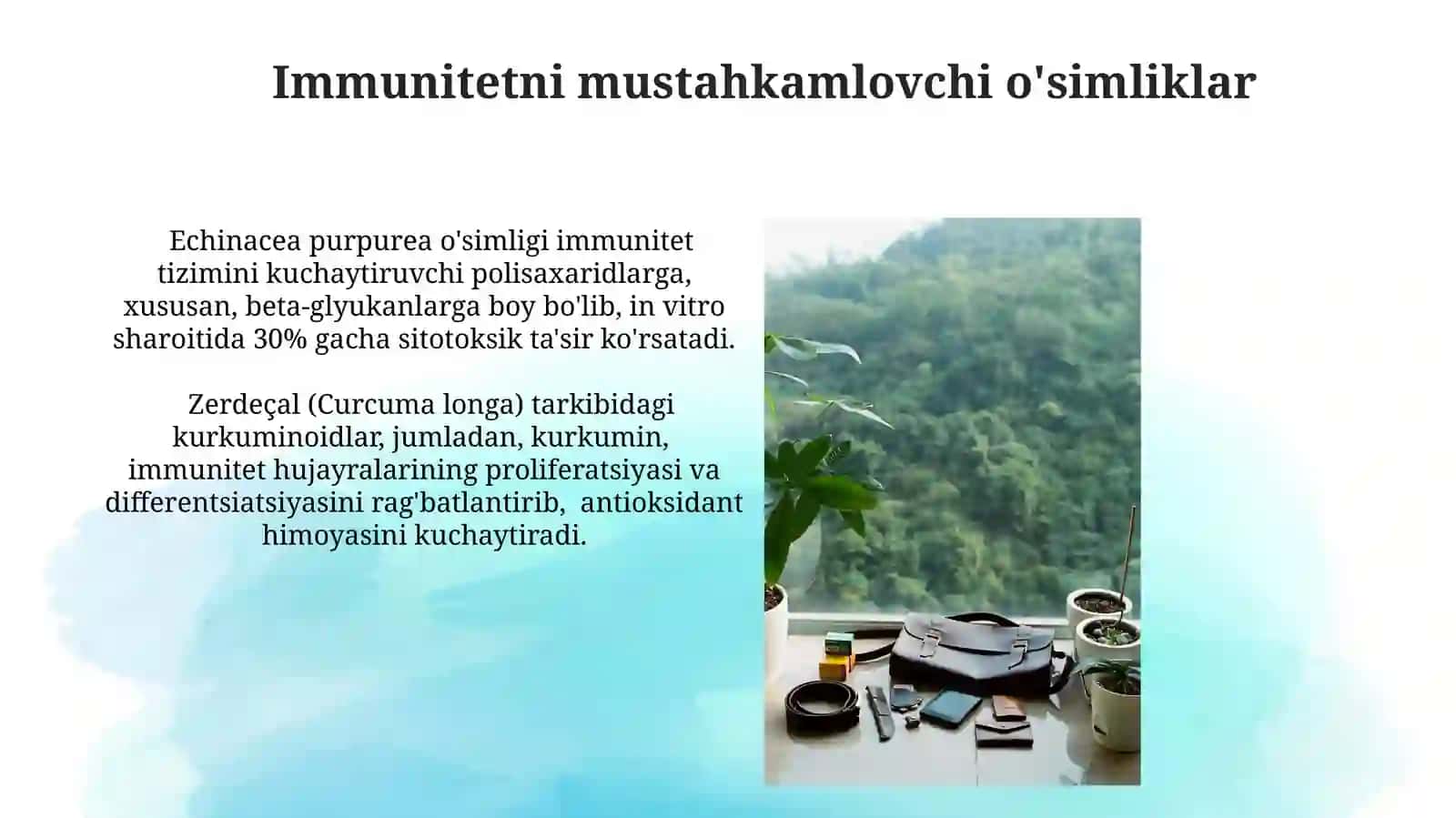 Antibakterial xususiyatlarga ega o'simliklar 4