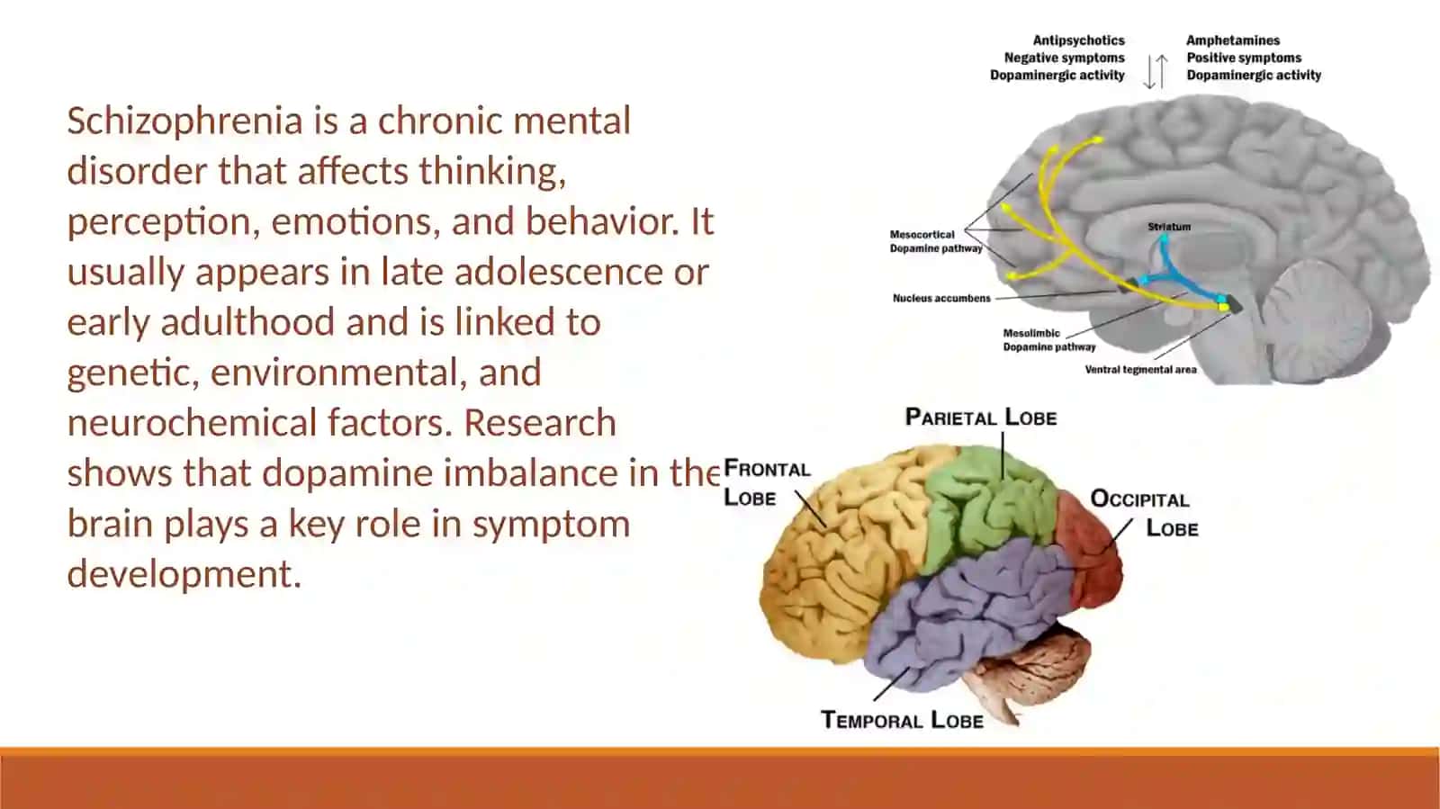 Mental Health Disorder — Schizophrenia 4