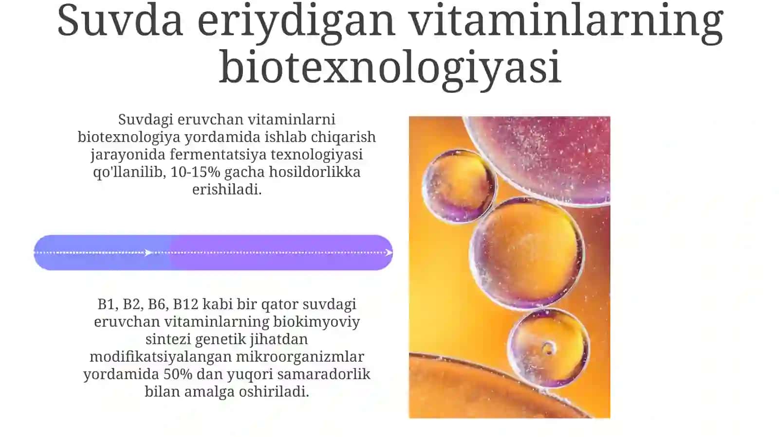 Suvda eruvchi vitaminlar biotexnologiyasi 4