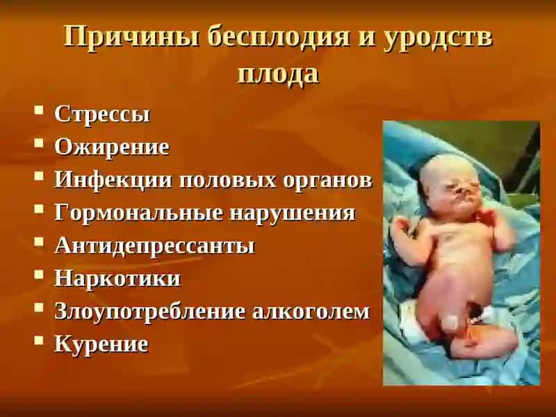 Онтогенез человека 4