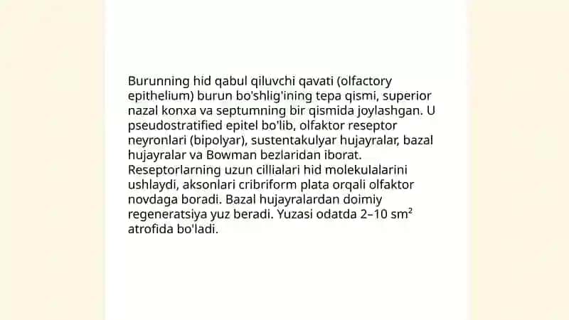 Hid bilish a'zosining anatomiyasi 4