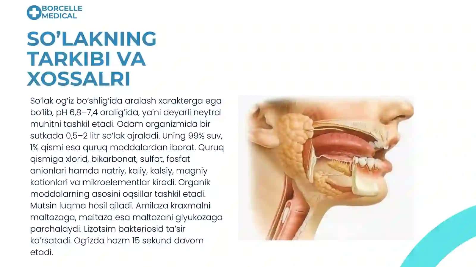 Og'iz boshlig'i fiziologiyasi 4