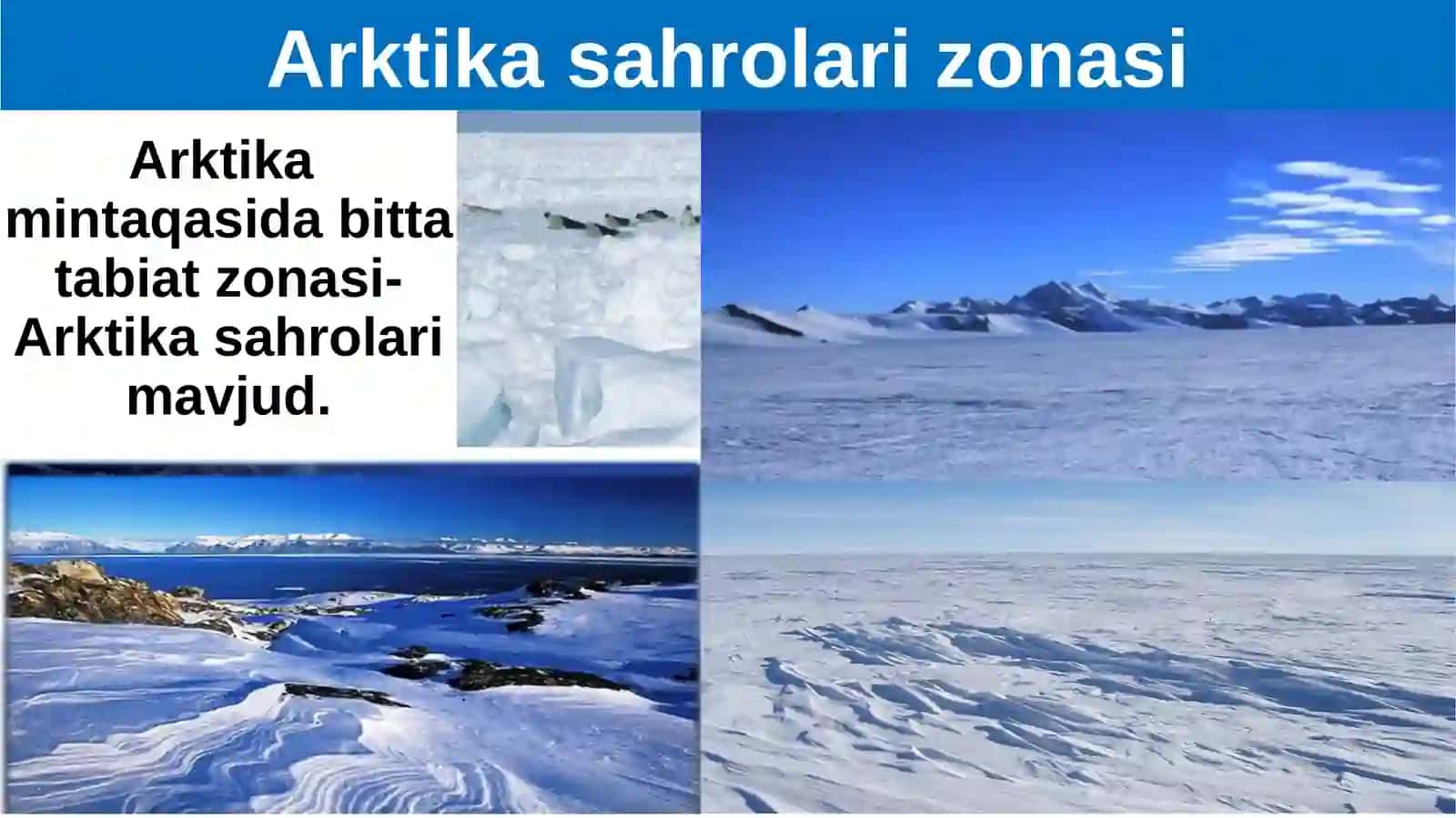 Arktika Sahrolari 4