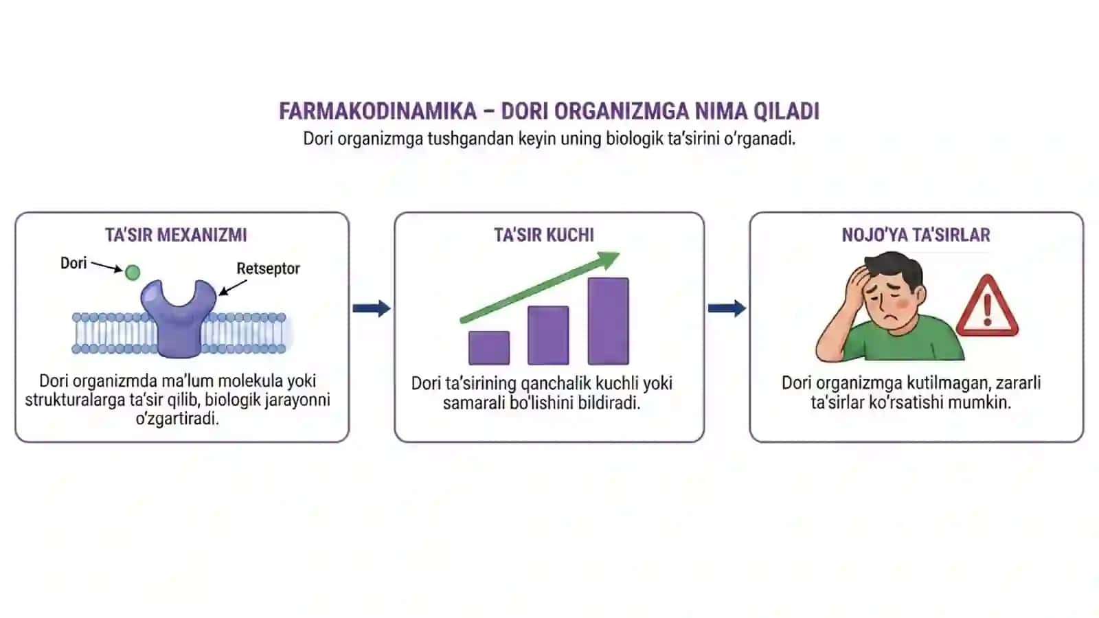 Farmakalogiya kirish. Farmakokinetika. 4