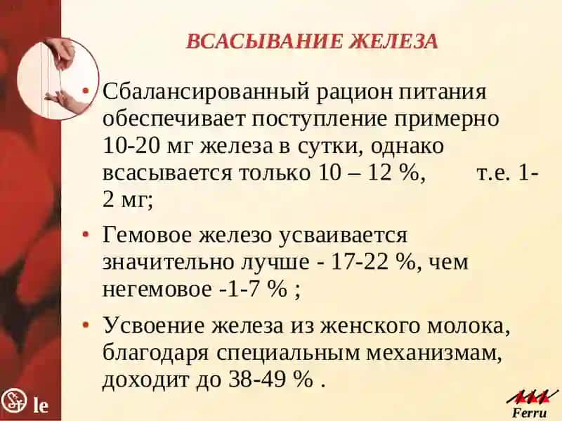 Железодефицитная анемия (ЖДА) 4