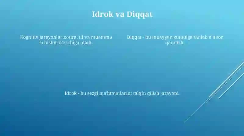 Kognitiv jarayonlar 4
